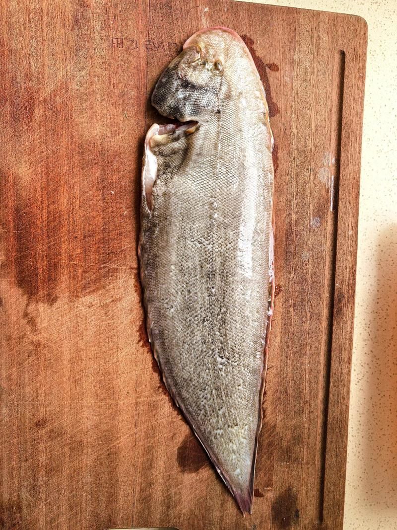 龍利魚和龍魚哪個更稀有，龍利魚與龍利魚的稀有性對比詳解龍利魚和龍魚哪個更稀有
