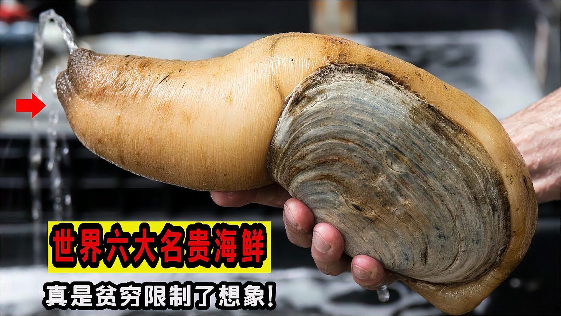 如何判斷一條魚是否值錢，一條魚是否值錢，需要綜合考慮多個因素，綜合考慮多個因素