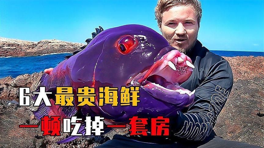 如何判斷一條魚是否值錢，一條魚是否值錢，需要綜合考慮多個因素，綜合考慮多個因素
