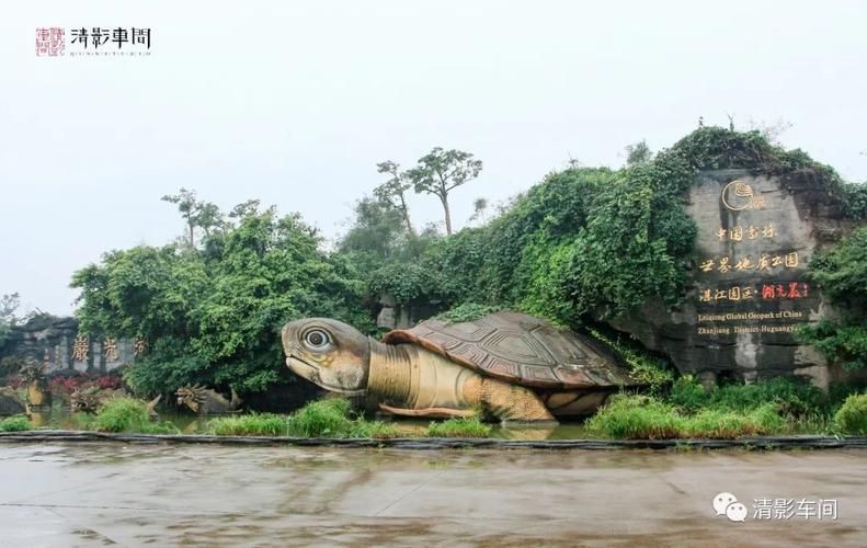 麻章龍魚有哪些獨特品種？，廣東湛江麻章區湖光巖風景區“麻章龍魚”品種鑒賞指南 麻章龍魚有哪些獨特品種？，廣東湛江麻章區湖光巖風景區“麻章龍魚”品種鑒賞指南 龍魚百科 第4張