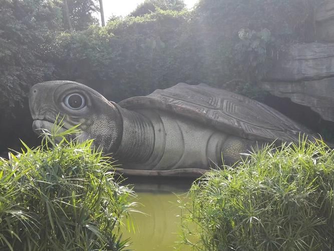 麻章龍魚有哪些獨特品種？，廣東湛江麻章區湖光巖風景區“麻章龍魚”品種鑒賞指南 麻章龍魚有哪些獨特品種？，廣東湛江麻章區湖光巖風景區“麻章龍魚”品種鑒賞指南 龍魚百科 第2張
