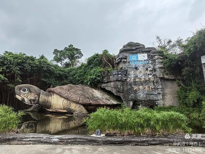 麻章龍魚有哪些獨特品種？，廣東湛江麻章區湖光巖風景區“麻章龍魚”品種鑒賞指南 麻章龍魚有哪些獨特品種？，廣東湛江麻章區湖光巖風景區“麻章龍魚”品種鑒賞指南 龍魚百科 第3張