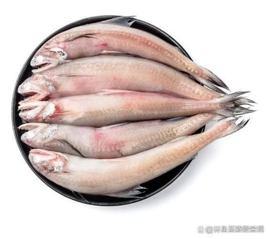 給我一些區分江龍魚和龍頭魚的圖片，如何區分江龍魚和龍頭魚？