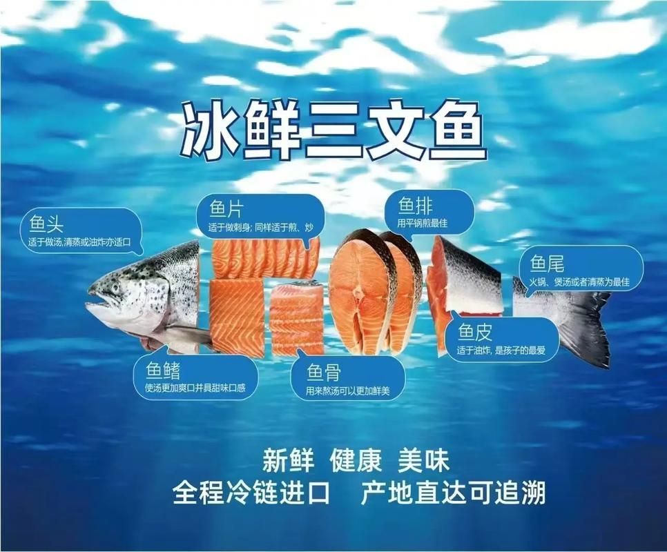 三都龍魚和三通魚的市場需求如何？，“三都龍魚”和“三都龍魚”市場規劃步驟詳解“三都龍魚” 三都龍魚和三通魚的市場需求如何？，“三都龍魚”和“三都龍魚”市場規劃步驟詳解“三都龍魚” 龍魚百科 第11張