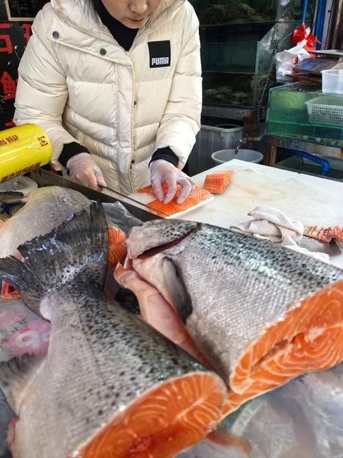 三都龍魚和三通魚的市場需求如何？，“三都龍魚”和“三都龍魚”市場規劃步驟詳解“三都龍魚” 三都龍魚和三通魚的市場需求如何？，“三都龍魚”和“三都龍魚”市場規劃步驟詳解“三都龍魚” 龍魚百科 第8張