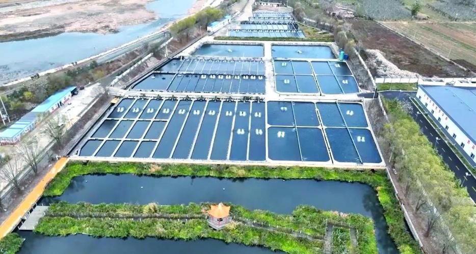 還有哪些地方是涉縣龍魚的正宗產(chǎn)地？，河北涉縣鱘魚養(yǎng)殖的正宗產(chǎn)地與核心區(qū)域