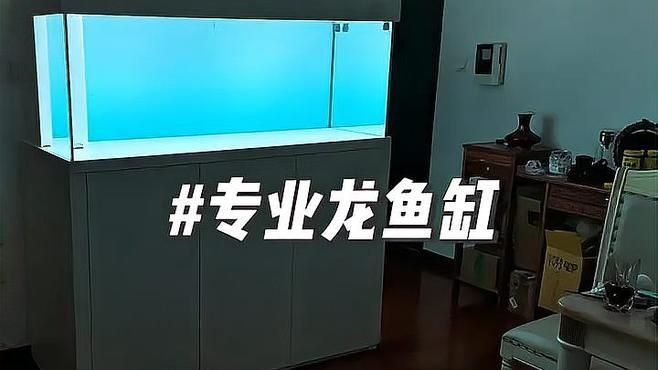 龍魚長大后需要多大的魚缸，養(yǎng)龍魚，魚缸不是越大越好，而是要“足夠大且科學(xué)合理”