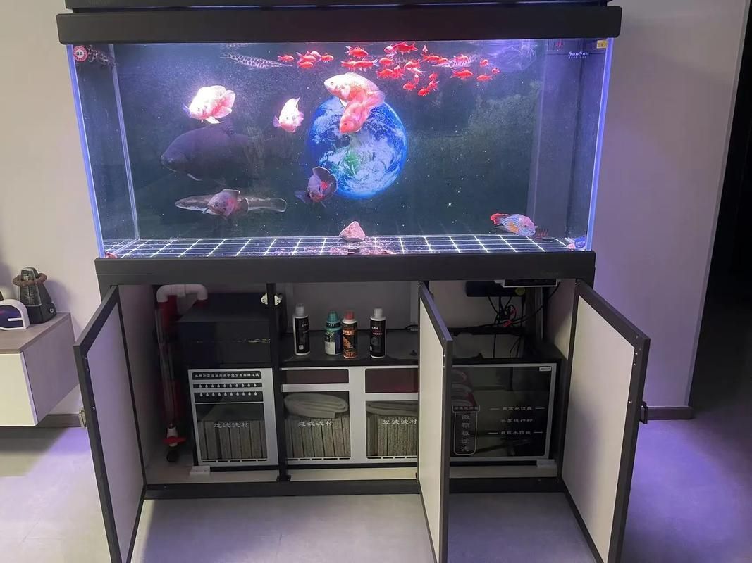 七彩銀龍魚適合與哪些魚類混養？，七彩銀龍魚混養搭配清單