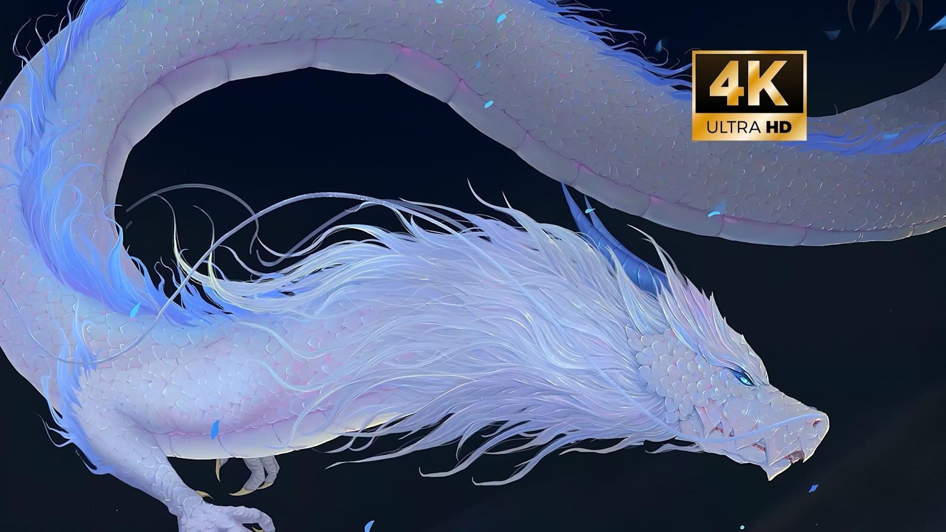 哪里可以找到高清的龍魚壁紙？，如何找到更多高清龍魚壁紙？