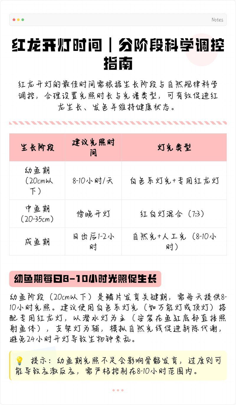 給我一份詳細的龍魚燈光調節教程，魚燈光調節教程