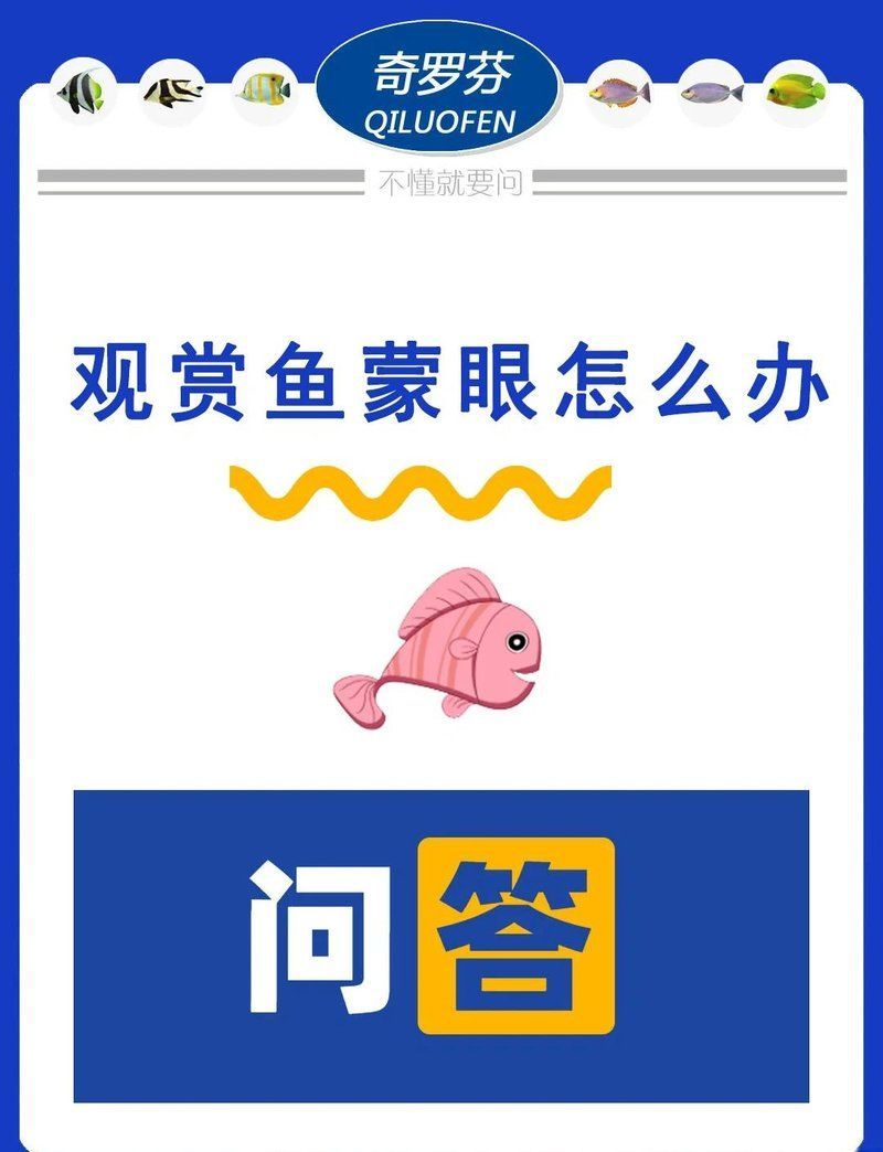 如何預防龍魚蒙眼病和鰓蟲感染，如何預防龍魚蒙眼病