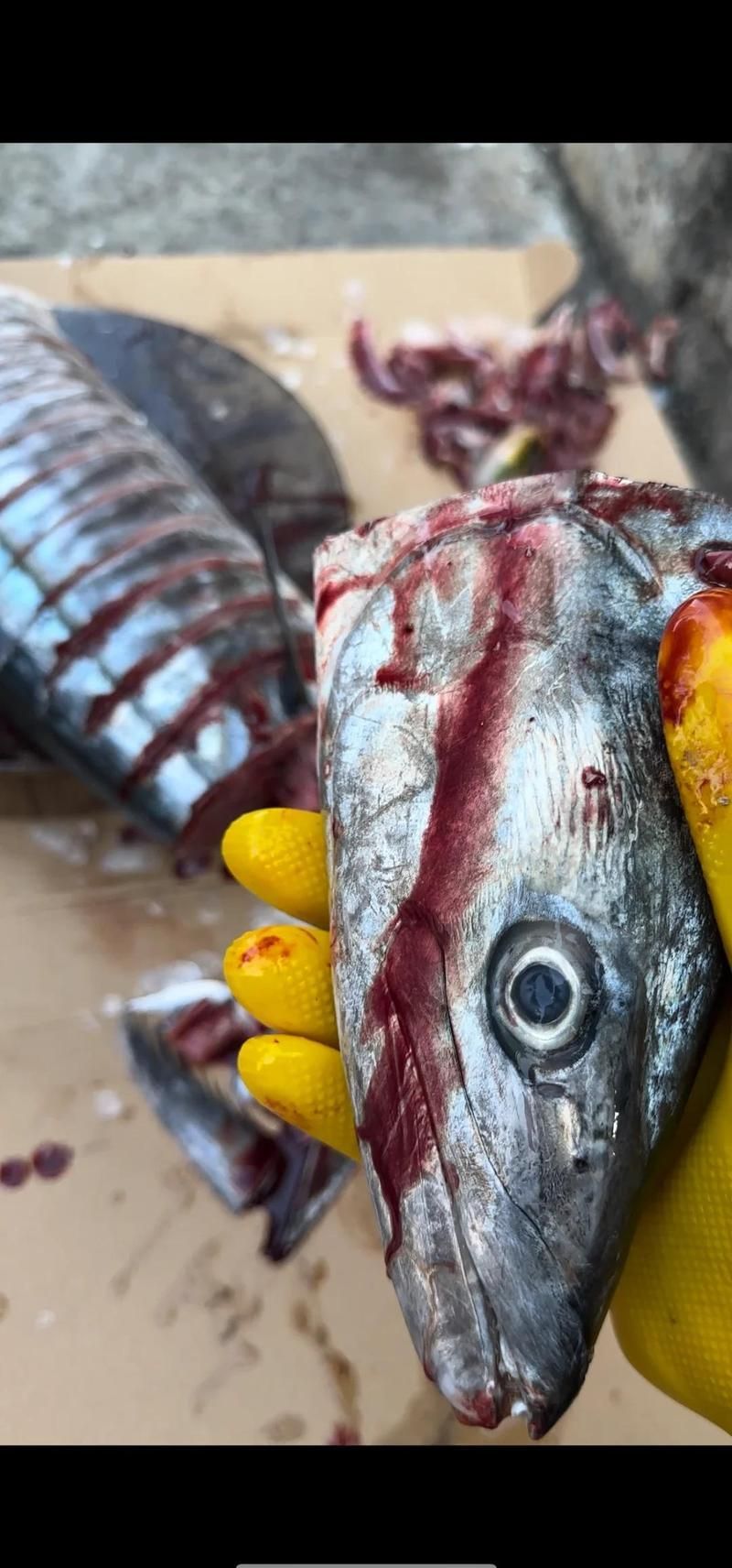 馬龍魚適合哪些烹飪方法，馬龍魚的烹飪方法