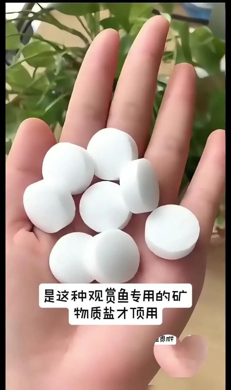 有哪些品牌的水族專用鹽推薦，bessnbessn水族專用鹽