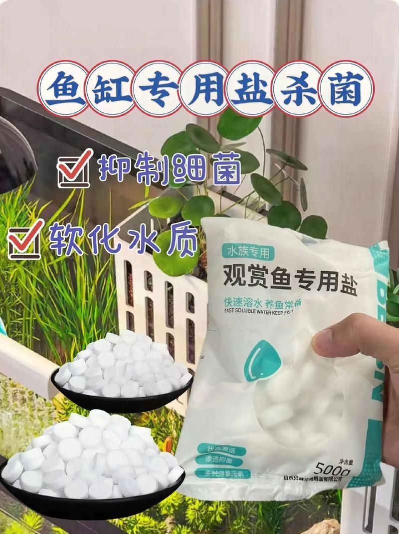 有哪些品牌的水族專用鹽推薦，bessnbessn水族專用鹽