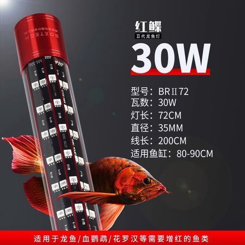 有哪些品牌的紅龍魚側(cè)燈推薦，紅龍魚側(cè)燈品牌推薦：紅龍魚側(cè)燈推薦，紅龍魚側(cè)燈