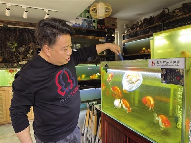 蘭州龍魚愛好者有哪些知名人士，蘭州龍魚愛好者有哪些知名人士？