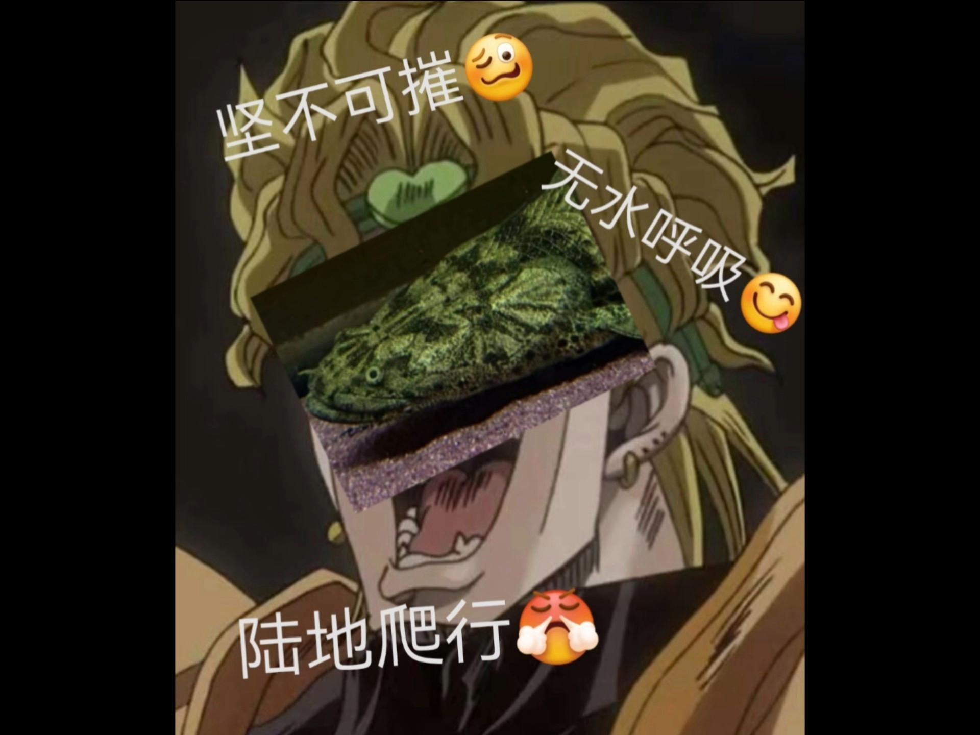 能給出更多恐龍魚的品種嗎，恐龍魚哪個(gè)品種最受歡迎，恐龍魚的品種對照表
