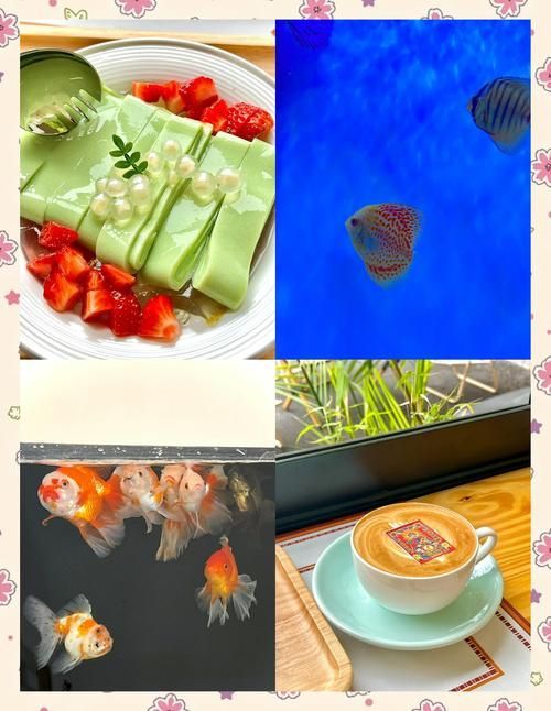 有沒有推薦的杭州龍魚水族店？，杭州龍魚水族店推薦