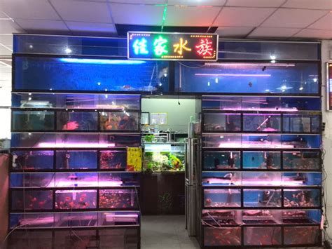 龍魚醫生店一般提供哪些服務？，龍魚醫生店主要提供以下服務