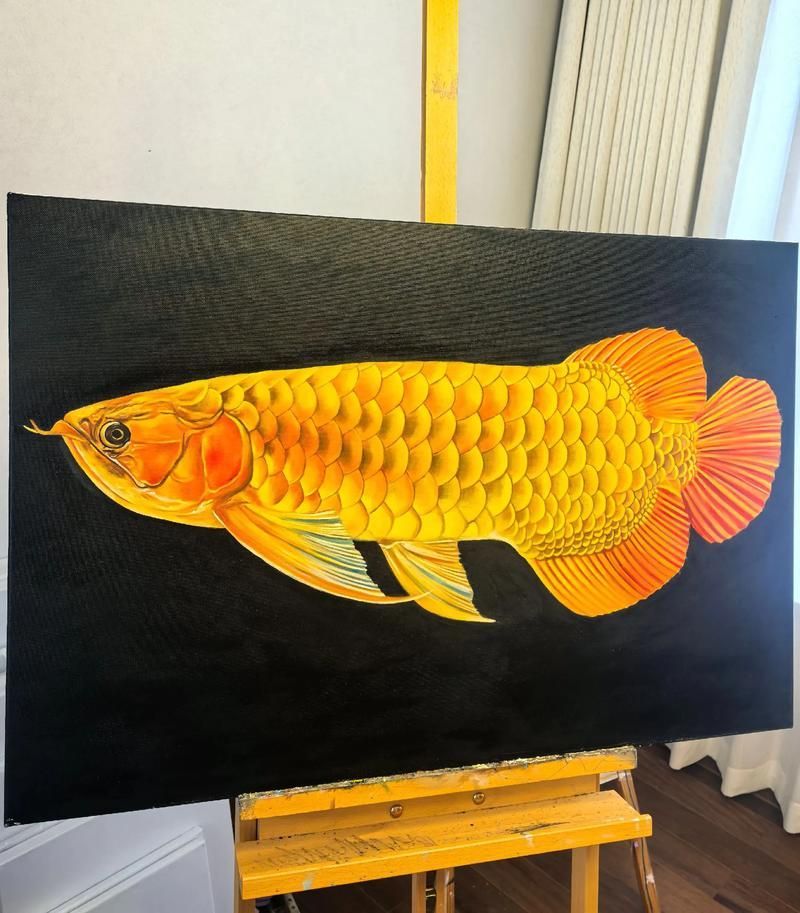 有沒有高清的生財金龍魚圖片，生財金龍魚圖片