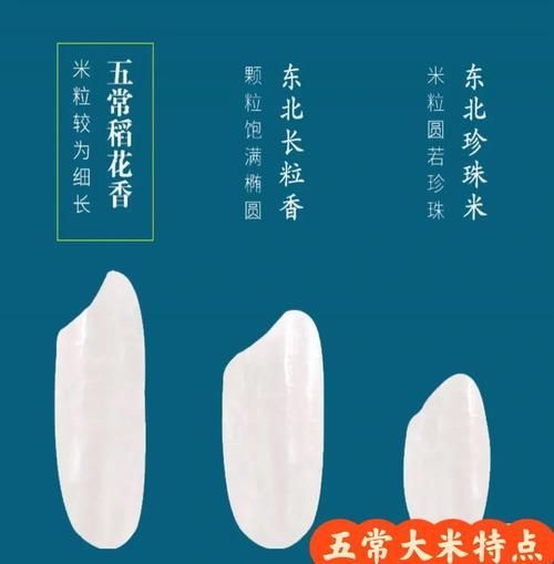 如何辨別金龍魚五常大米的真?zhèn)危宄４竺渍鎮(zhèn)舞b別 如何辨別金龍魚五常大米的真?zhèn)危宄４竺渍鎮(zhèn)舞b別 龍魚百科 第2張
