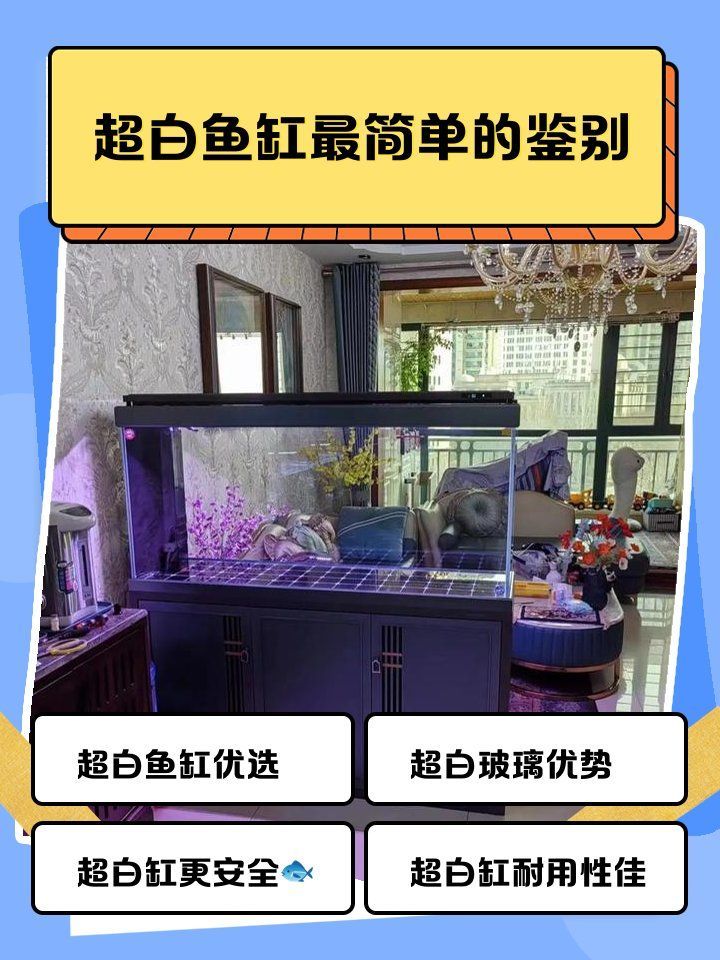 如何判斷魚缸是否為超白玻璃，判斷魚缸是否為超白玻璃，超白玻璃魚缸選購避坑指南
