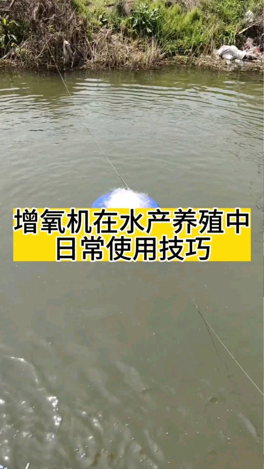 病理性浮頭如何治療，急控—解毒—修復—修復—修復—預防