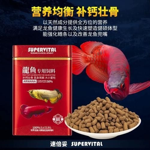 有哪些品牌推薦的龍魚副食，知名品牌推薦的龍魚副食