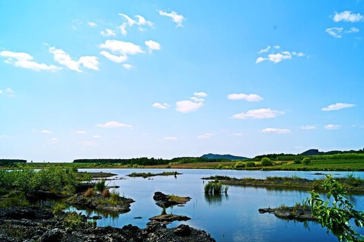 五大連池鰱魚(yú)和龍魚(yú)有什么區(qū)別？，五大連池鰱魚(yú)與龍魚(yú)的區(qū)別