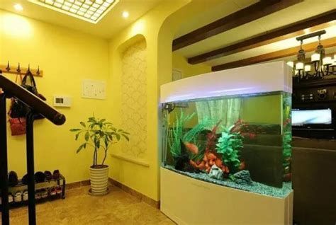 魚之家生態龍魚缸的定制服務如何？，魚之家生態龍魚缸案例 魚之家生態龍魚缸的定制服務如何？，魚之家生態龍魚缸案例 龍魚百科 第1張