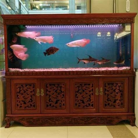 魚之家生態龍魚缸的定制服務如何？，魚之家生態龍魚缸案例 魚之家生態龍魚缸的定制服務如何？，魚之家生態龍魚缸案例 龍魚百科 第3張