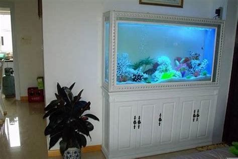 魚之家生態龍魚缸的定制服務如何？，魚之家生態龍魚缸案例 魚之家生態龍魚缸的定制服務如何？，魚之家生態龍魚缸案例 龍魚百科 第2張