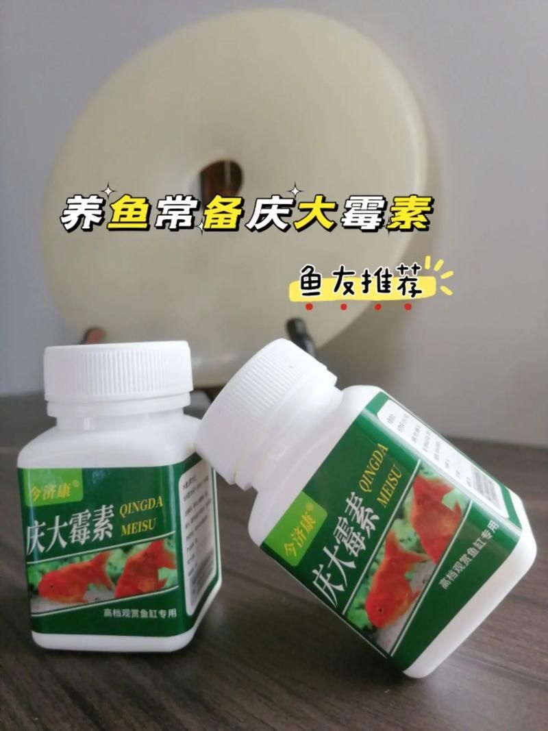 哪些藥物可以輔助龍魚恢復？，富媒體組件庫召回多篇高質量筆記（100mg/l（100mg/l（100mg/l）