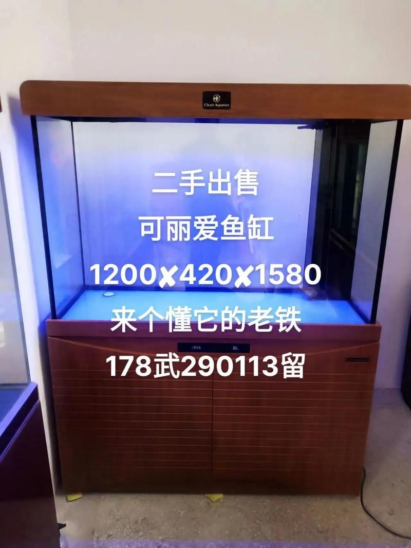 可麗愛魚缸有哪些型號推薦？，可麗愛魚缸各型號參數對比表