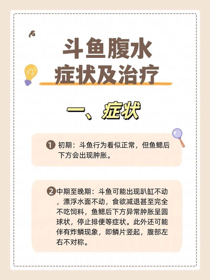 如何預(yù)防魚(yú)患腹水病，arxiv論文助手arxiv論文助手arxiv論文助手