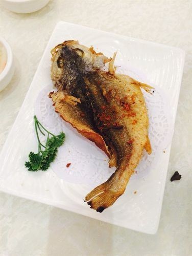 能提供香煎清遠龍魚的詳細食譜嗎，香煎清遠桂花魚