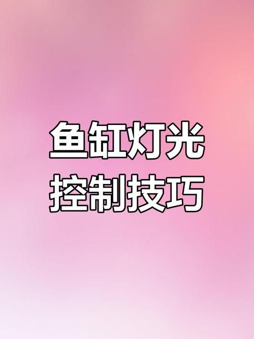 如何設置龍魚燈的定時器，mcp工具列表中存在龍魚燈的定時器操作指南