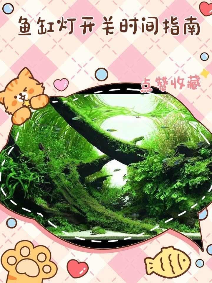 如何設置龍魚燈的定時器，mcp工具列表中存在龍魚燈的定時器操作指南