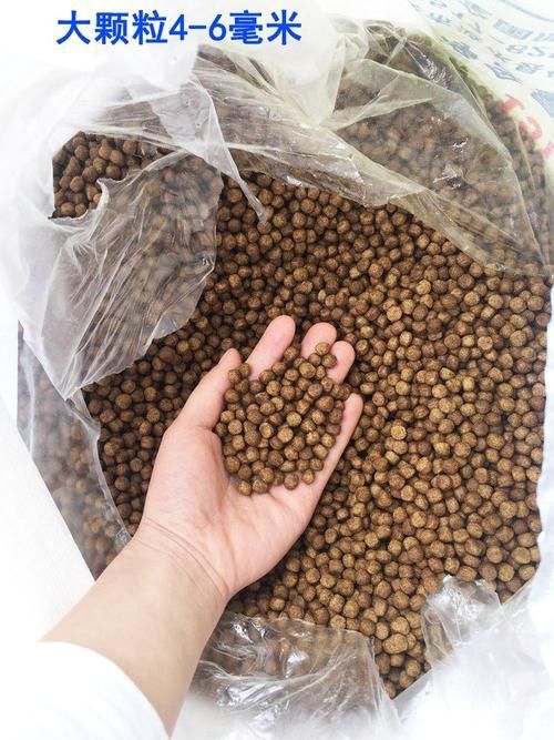 國產魚飼料哪個牌子性價比最高，國產魚飼料哪個牌子好