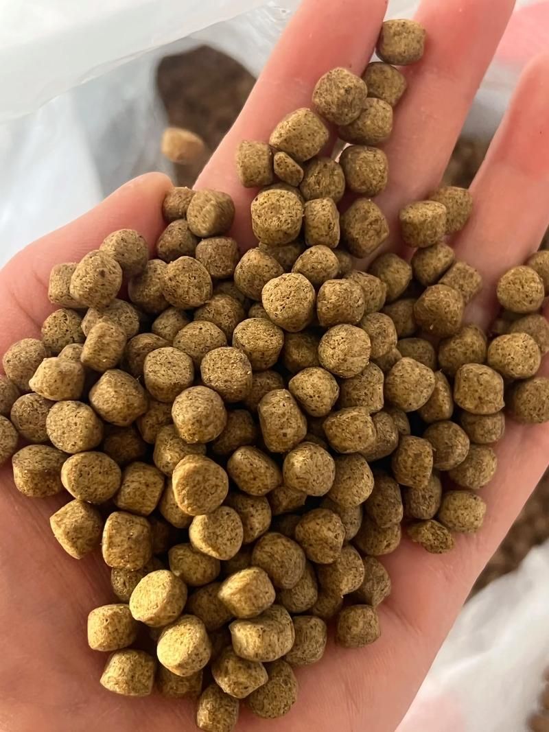 國產魚飼料哪個牌子性價比最高，國產魚飼料哪個牌子好