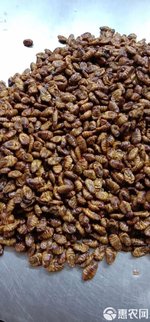 有哪些食物可以替代面包蟲，可以替代面包蟲的食物