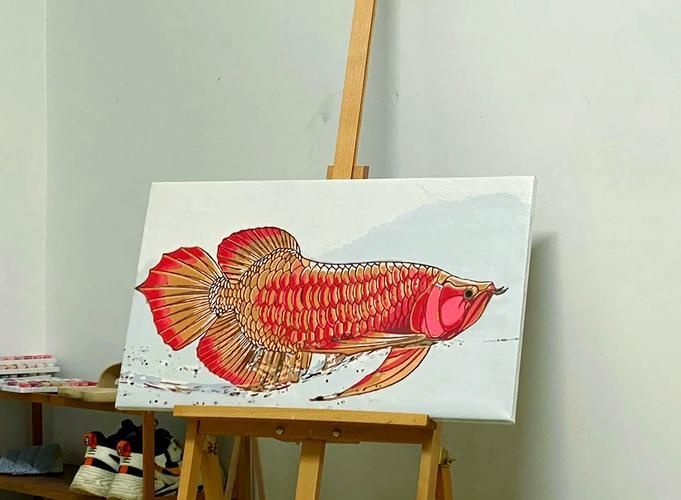 給我一些赫舞紅龍魚的發色圖片，赫舞紅龍魚發色階段對照表