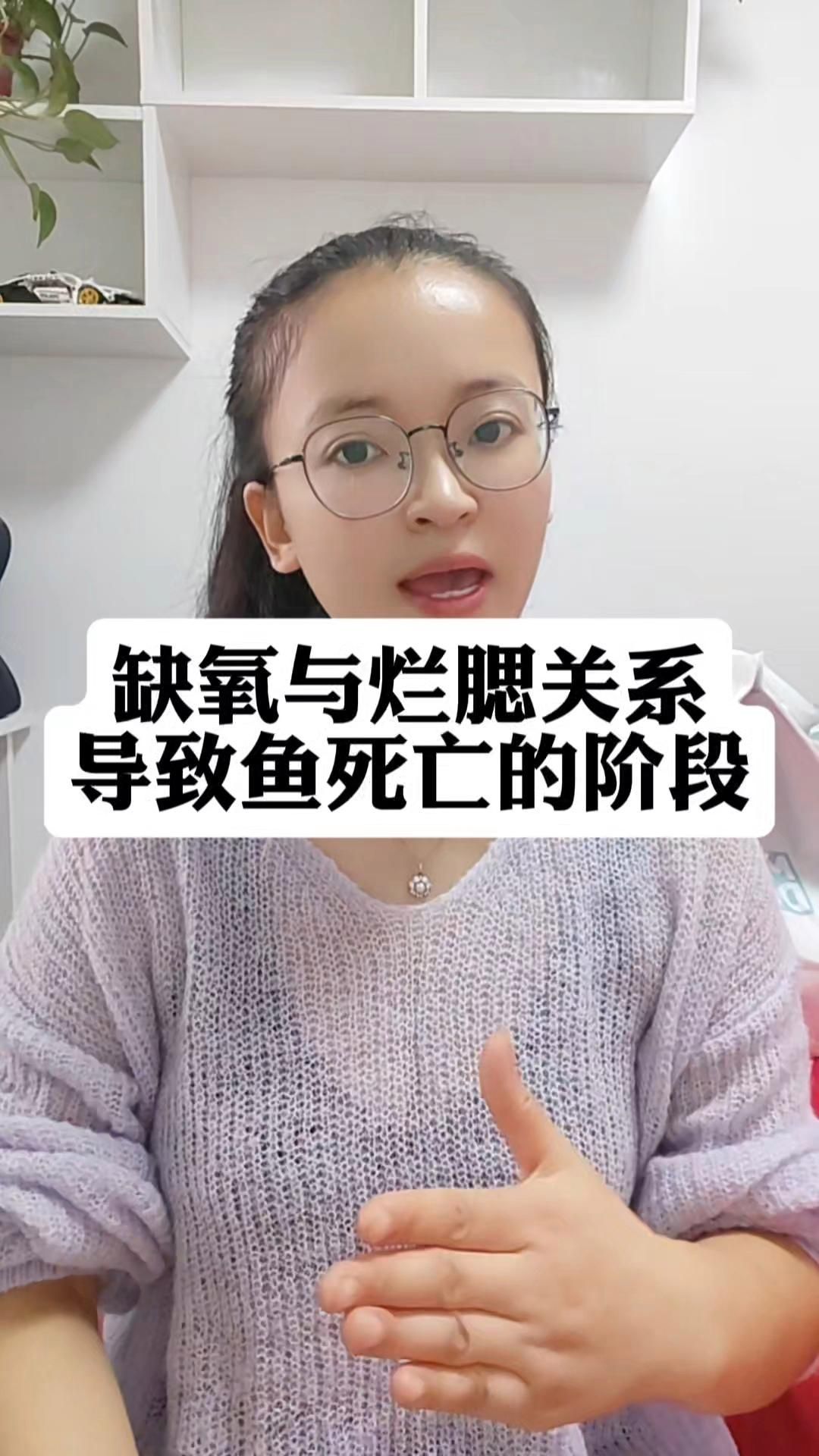 鰓蓋腐爛會死亡嗎，蓋腐爛是魚類疾病中的一種疾病，鰓蓋腐爛能活多久
