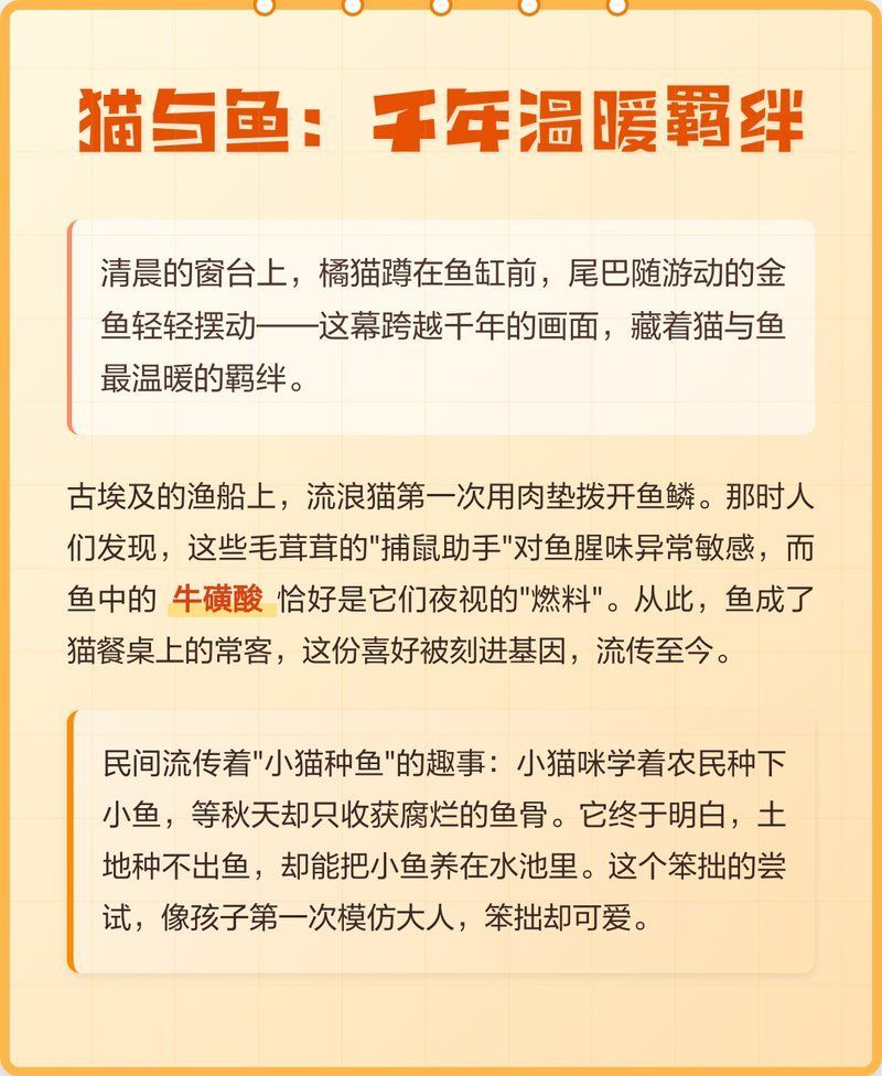 有哪些成功的貓和魚共養案例，貓和魚共養的注意事項