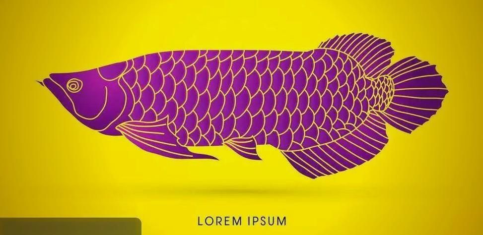 如何在雙城區購買到正宗的龍魚？，雙城區龍魚購買指南