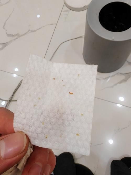 面包蟲冷凍后如何處理才能喂龍魚？，冷凍面包蟲喂食流程