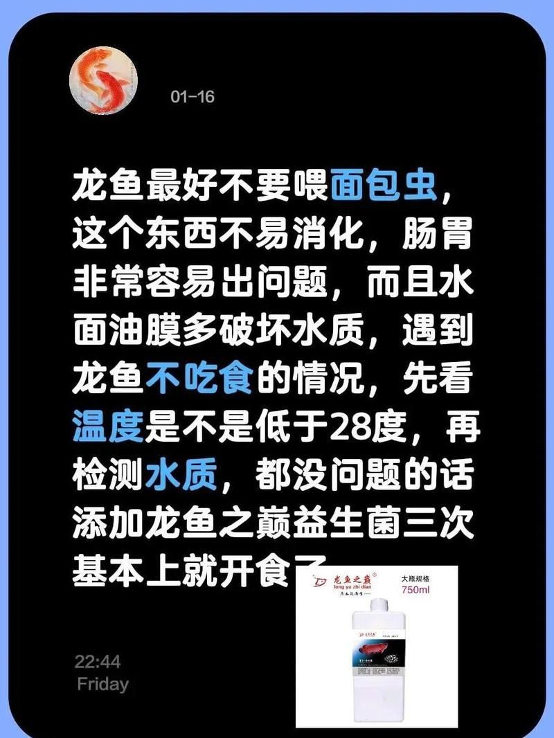 面包蟲冷凍后如何處理才能喂龍魚？，冷凍面包蟲喂食流程