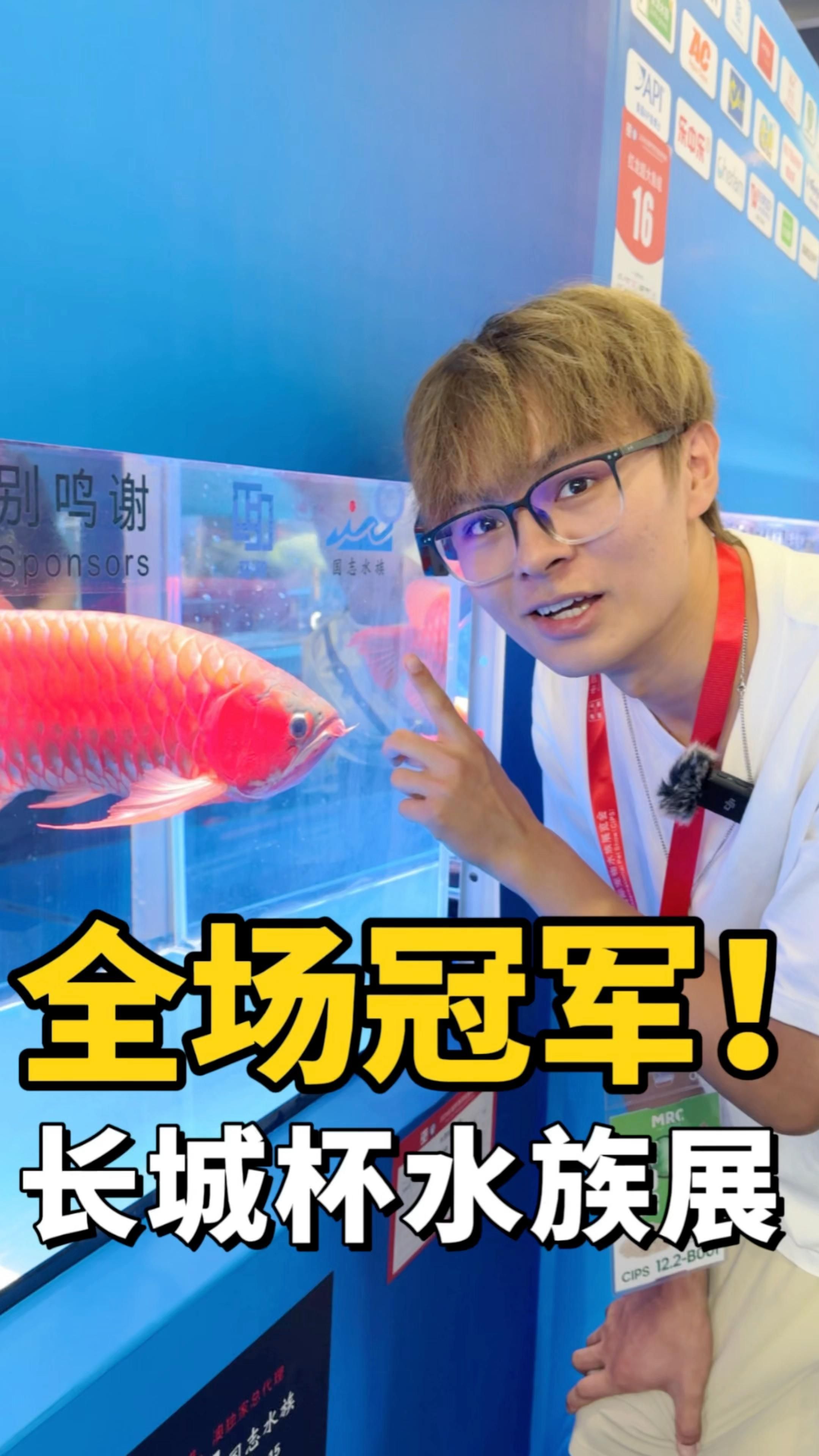 能否提供更多2024年龍魚賽事的細節，cips2024中國國際寵物水族展覽會 能否提供更多2024年龍魚賽事的細節，cips2024中國國際寵物水族展覽會 龍魚百科 第7張