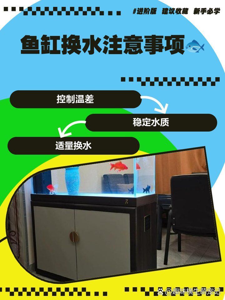 換水時需要注意什么，小魚缸換水的正確方法