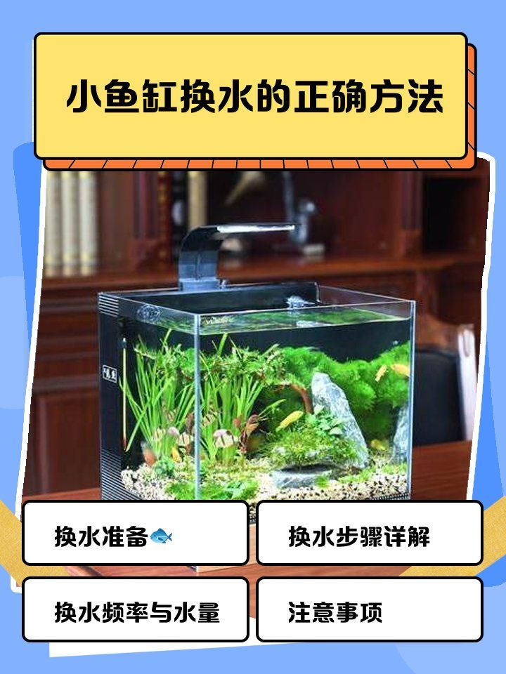換水時需要注意什么，小魚缸換水的正確方法